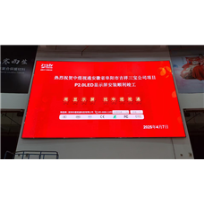 安徽省阜阳市吉祥三宝公司P2LED显示屏项目
